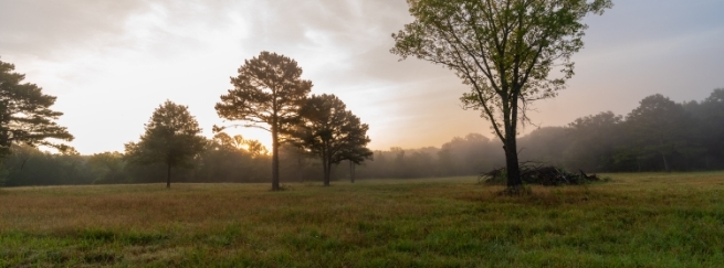 Our Strategy Sells Land Fast, for Top Dollar